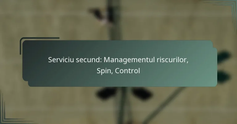 Serviciu secund: Managementul riscurilor, Spin, Control